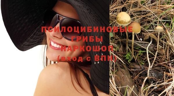 экстази Няндома