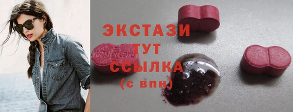 индика Нягань