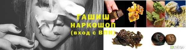 индика Нягань