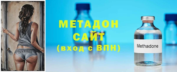 индика Нягань