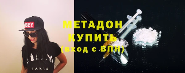 индика Нягань