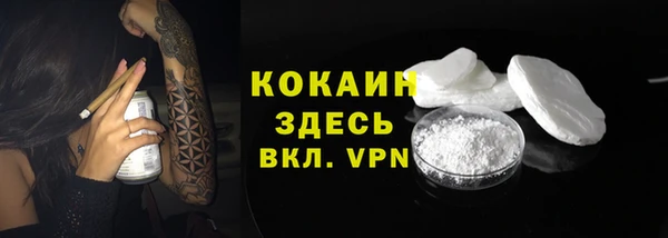 индика Нягань
