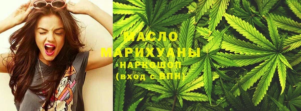 индика Нягань