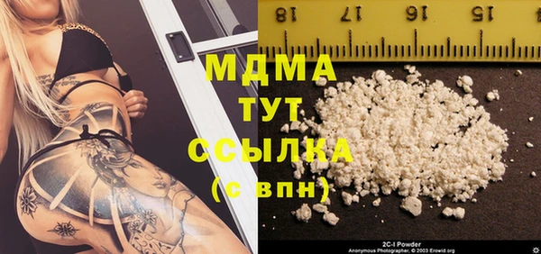индика Нягань