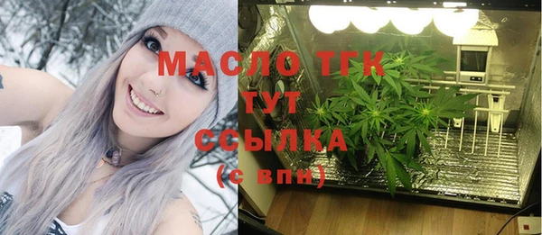 индика Нягань