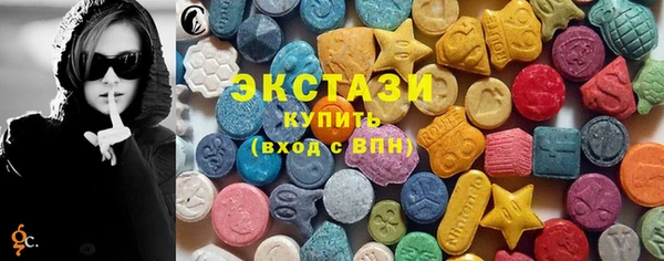 индика Нягань