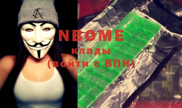 индика Нягань