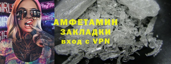 индика Нягань
