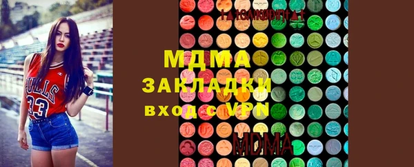 индика Нягань