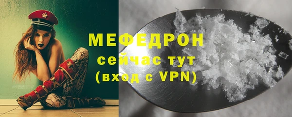 индика Нягань