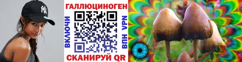 Галлюциногенные грибы Psilocybe  кракен онион  Калачинск 